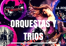 ORQUESTAS Y TRIOS MUSICALES